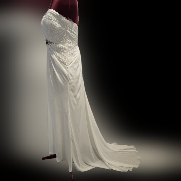 Anna rose gown, new with tags Size 8 - Picture 6 of 14